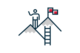 a person standing on top of a mountain with a ladder